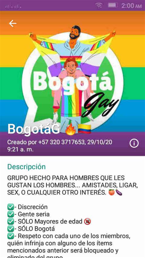 gay chat latino|Chat Gay de Bogota .